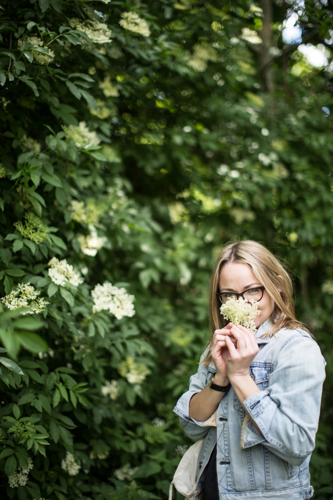 Elderflower picking, Hackney